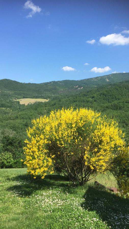 Nido D'Amore Nei Colori Dernice 외부 사진